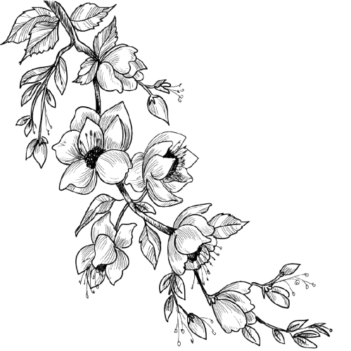 Background decoration